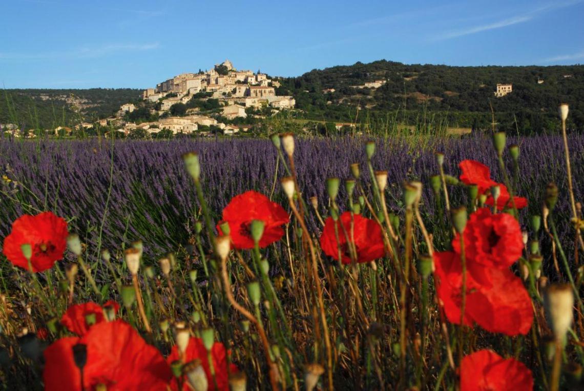 Apartmán Loft Provencal Salernes Exteriér fotografie